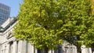 色づき始めたイチョウとのコラボが素晴らしい