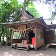 鳥居が湖の中に建っています