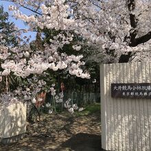 大井競馬場小林牧場