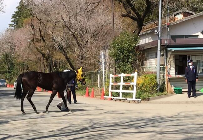 小林牧場