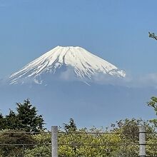 20230419翌日、十国峠~駒ケ岳まで足を延ばしました