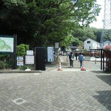 東高根森林公園