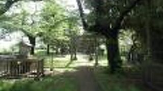 船島稲荷大明神