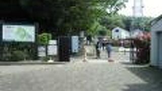 東高根森林公園