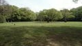 古代芝生広場とパークセンターに説明板と展示品があります