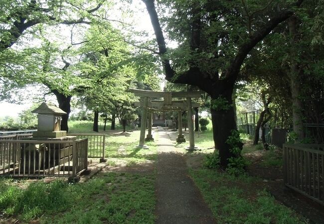 水害の過去が多く、今後も必要かと思える神社