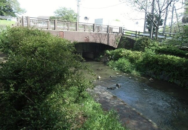 今は、のどかで素敵な水辺の散歩道