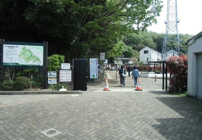 東高根森林公園