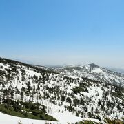 今年は雪が少ない