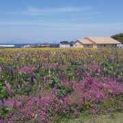 花の公園