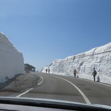 雪の回廊2023山頂付近