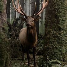 220x220_19314345.jpg?