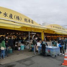 鮮魚店