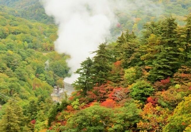 八幡平樹海ライン