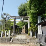 大酒神社