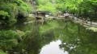 小さな島が池にあります