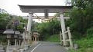 御神木が印象的です