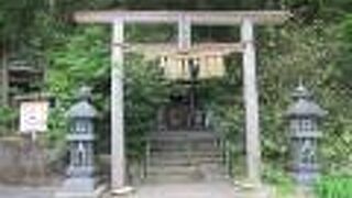 山の斜面に板木があります