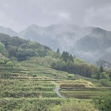 長閑な風景