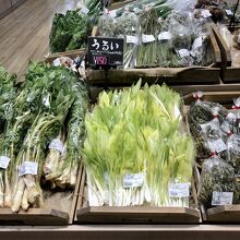 山菜いいなぁ。うるいが綺麗。これは買えないから我慢。