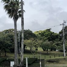 公園