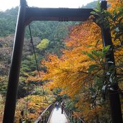 紅葉ハイキング