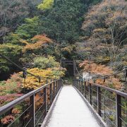 紅葉がきれい