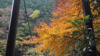 紅葉ハイキング