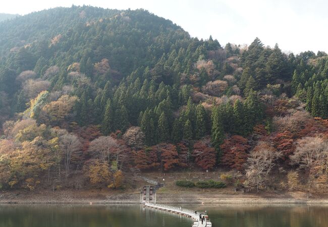 湖の水面に近い