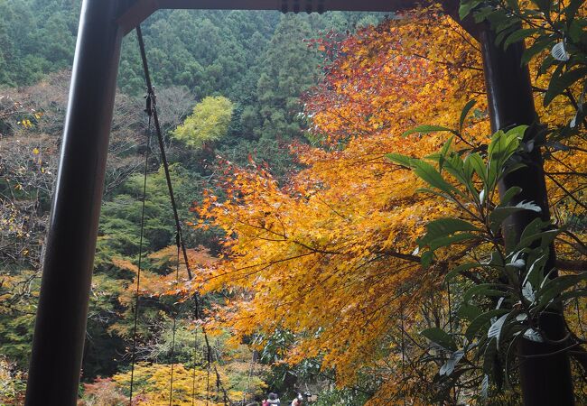 紅葉ハイキング