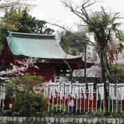 池と桜と社殿と