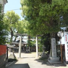 猿田彦神社