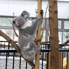 平川動物公園