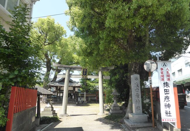 猿田彦神社