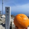 山頂から日本海の青い大海原と北アルプスの白い剣嶺を同時に見渡せる山