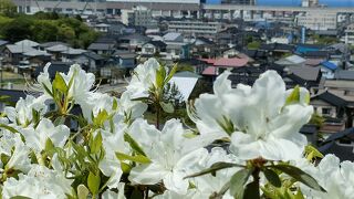 糸魚川市街地を一望