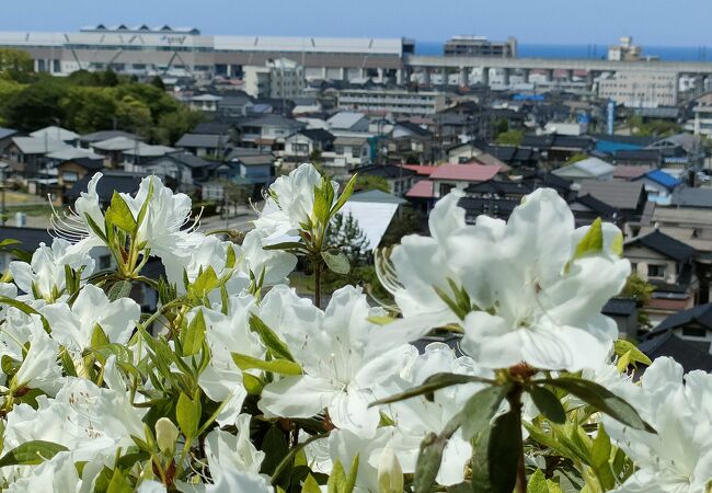 糸魚川市街地を一望