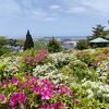 斜面上のつつじ園