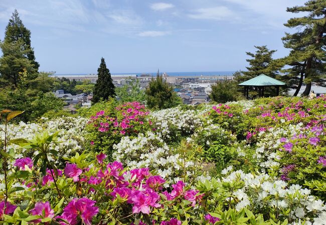 斜面上のつつじ園