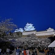 桜の時期は特にすばらしい