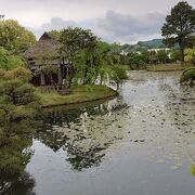 無料で入園できます