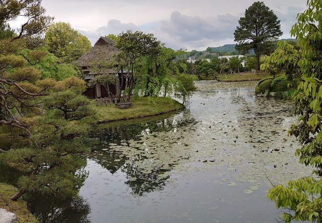 無料で入園できます