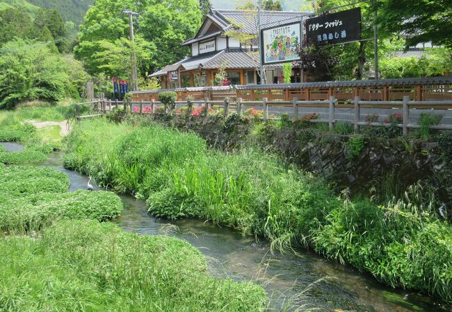 草が生えていて穏やかな流れでした