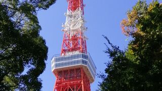 メインデッキだけ体験