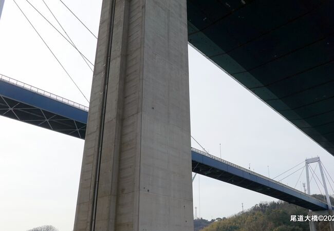 下から見上げる尾道大橋はなかなかの迫力でした