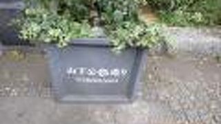 細長い山下公園と並行して