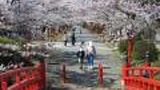涼ヶ岡八幡神社