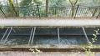 禅寺に近代遺産