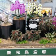 バスやタクシーで移動