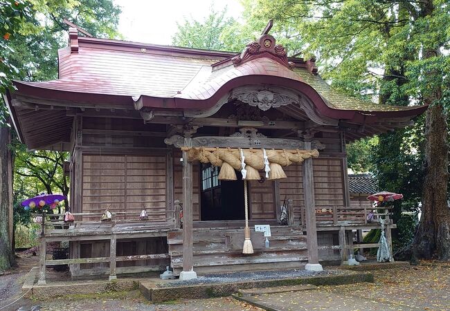 手水が温泉でした